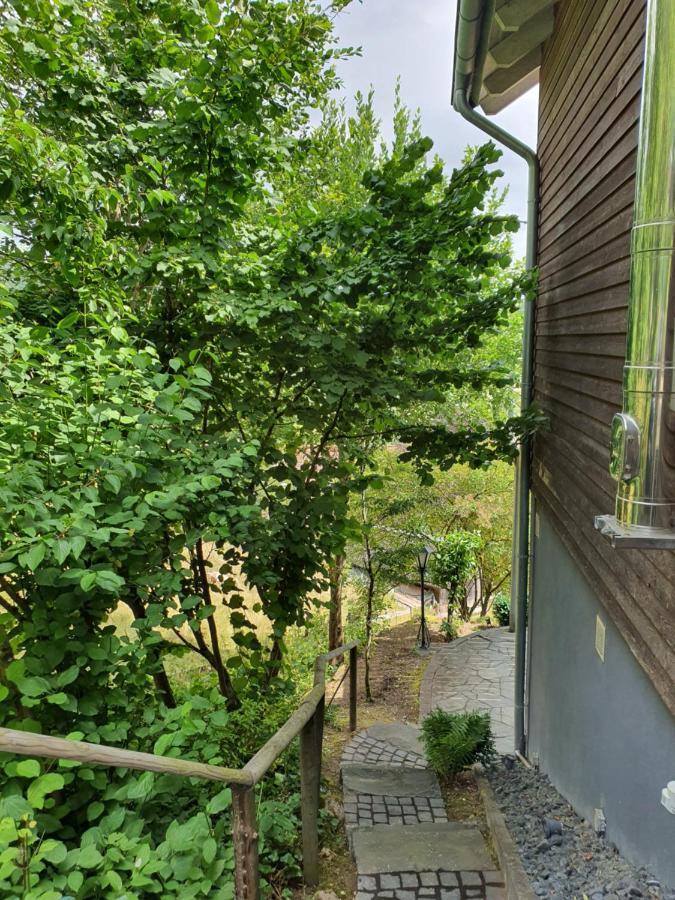 River Mosel Holiday Homes, Meerfeld Studio With A Lake View Exterior photo